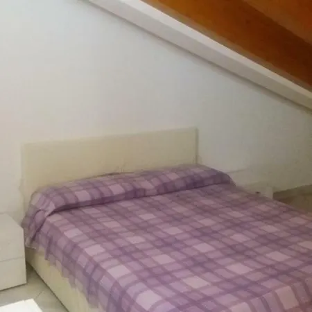 Nymphea * Cesenatico